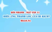 Hiệu ứng thanh lọc của bi kịch? Chủ đề chính và chủ đề phụ của bi kịch? Ngữ Văn lớp 11